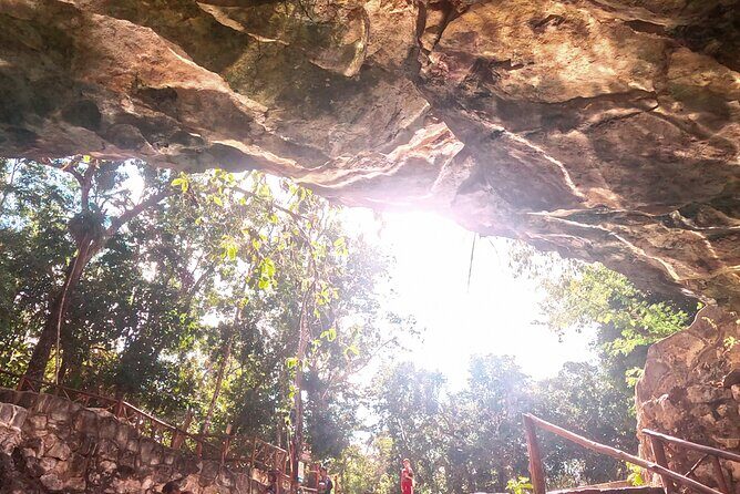 Entrance tickets to swim in 4 Cenotes in Casa Tortuga Park - Who Will Love This Tour?