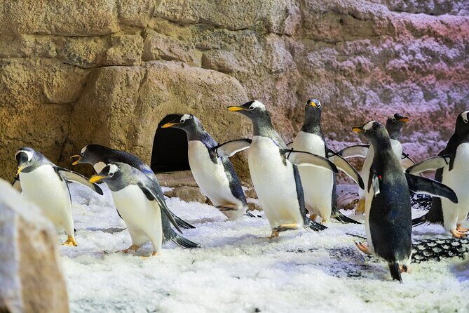 Entrance to Dubai Aquarium and Underwater Zoo - The Sum Up: Is It Worth It?