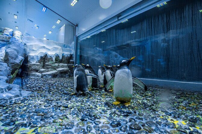 Entrance to Dubai Aquarium and Underwater Zoo - FAQ