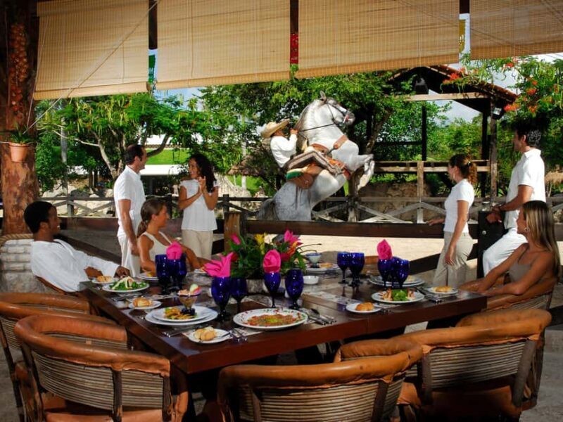 Entrance to Xcaret Park with access to the night show included. - What Makes Xcaret Park Special?