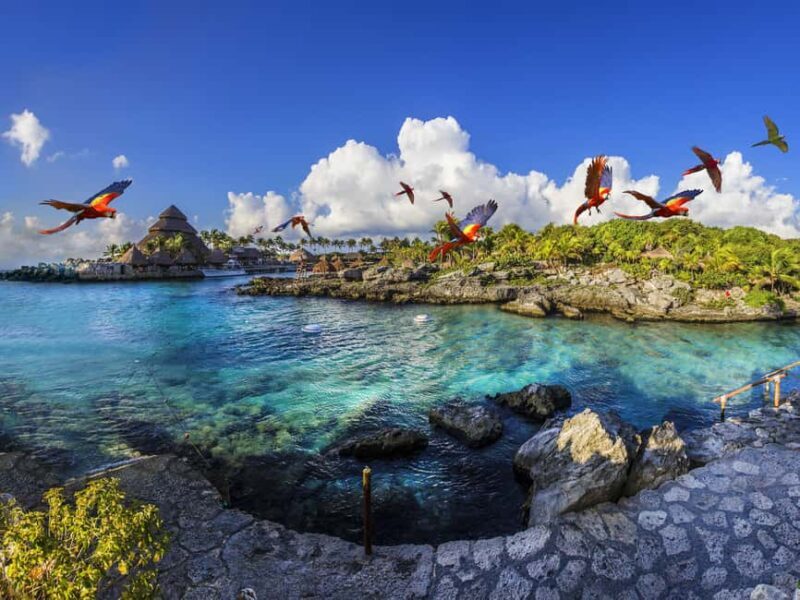 Entrance to Xcaret Park with access to the night show included. - The Xcaret Plus Experience: More Than Just Entry