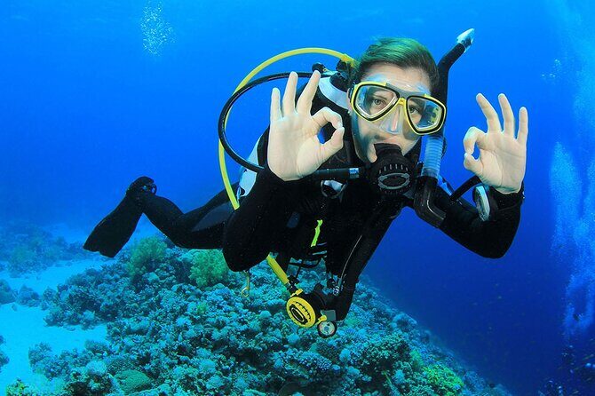 Entry Level PADI Course Discovery Scuba Dive - Who Should Sign Up?