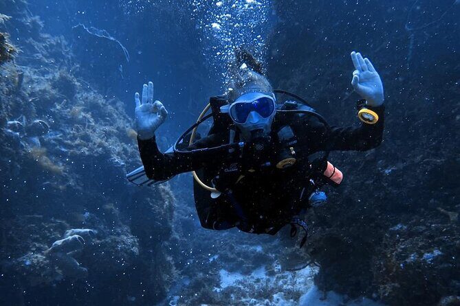 Entry Level PADI Course Discovery Scuba Dive - Final Thoughts
