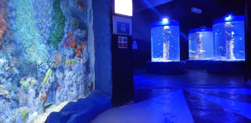Entry Ticket: Grand Aquarium Hurgada - Who Will Love This Experience?