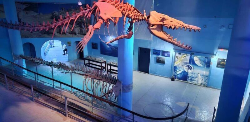 Entry Ticket: Grand Aquarium Hurgada - FAQ