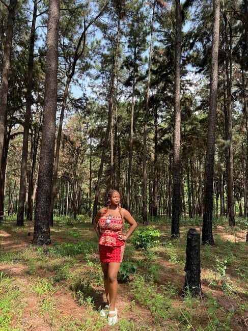 Enugu: City Tour with Ngwo Pine Forest and Waterfall - Key Points