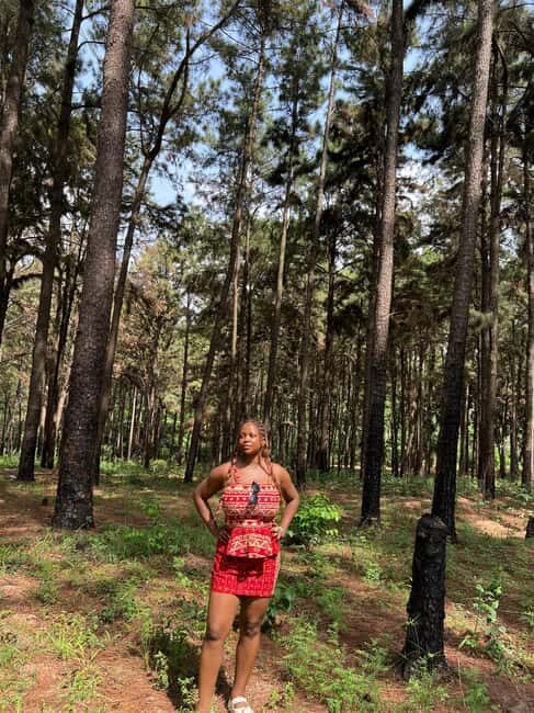 Enugu: City Tour with Ngwo Pine Forest and Waterfall - A Taste of Enugu: Local Cuisine and Palm Wine