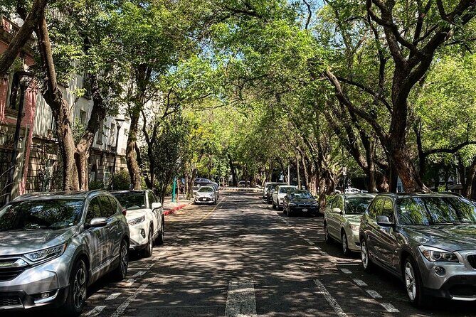 Epic Condesa and Roma Norte Walking Tour - Authentic Experiences and What Travelers Say