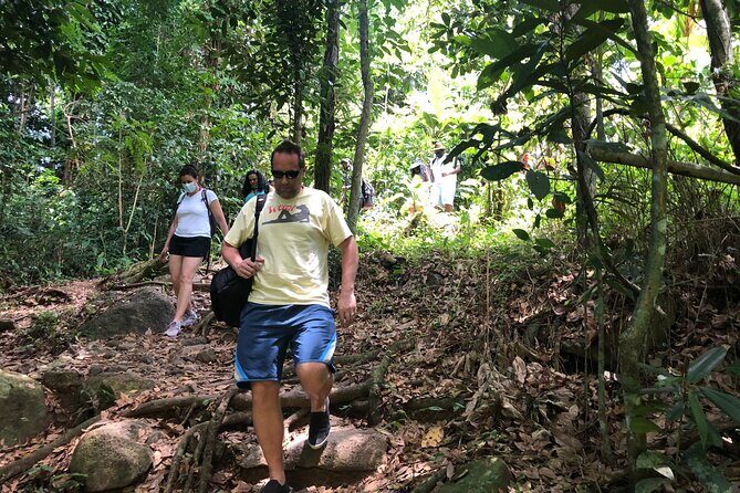 Epic Guided Adventure in El Yunque National Rainforest & Beach - Who Should Consider This Tour?