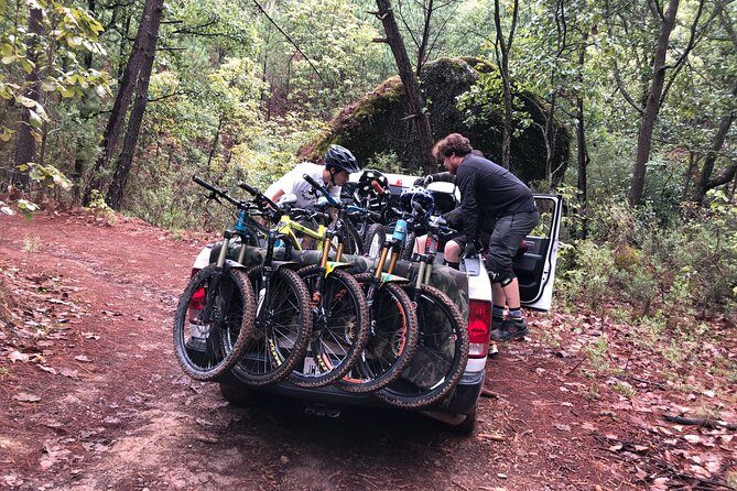 Epic MTB ride at Guadalajara forest. - Discovering La Primavera Forest: Nature and Trails