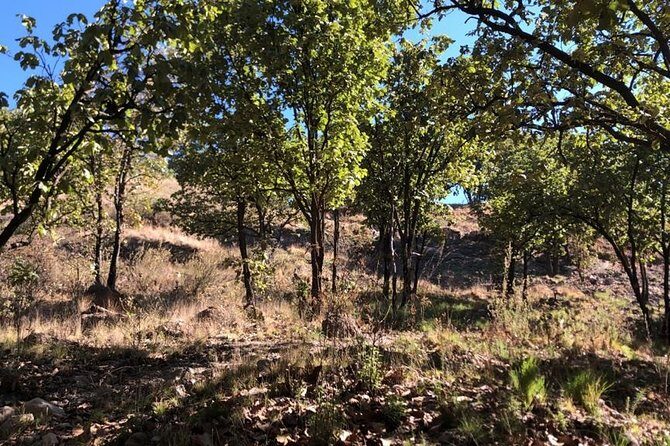 Epic MTB ride at Guadalajara forest. - The Value of This MTB Experience
