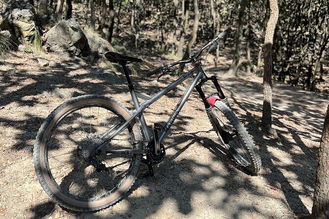 Epic MTB ride at Guadalajara forest. - Who Should Consider This Tour?
