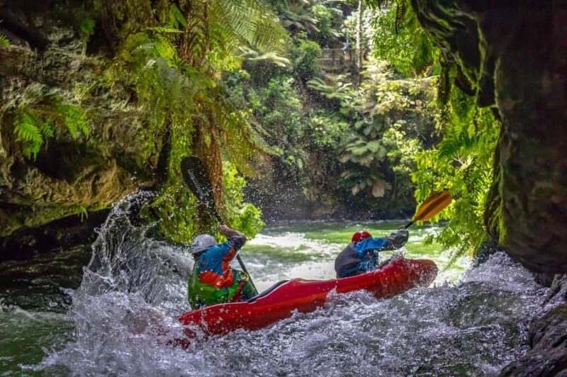 Epic Tandem Kayak Tour down the Kaituna River Waterfalls - Who Is This Tour Best For?