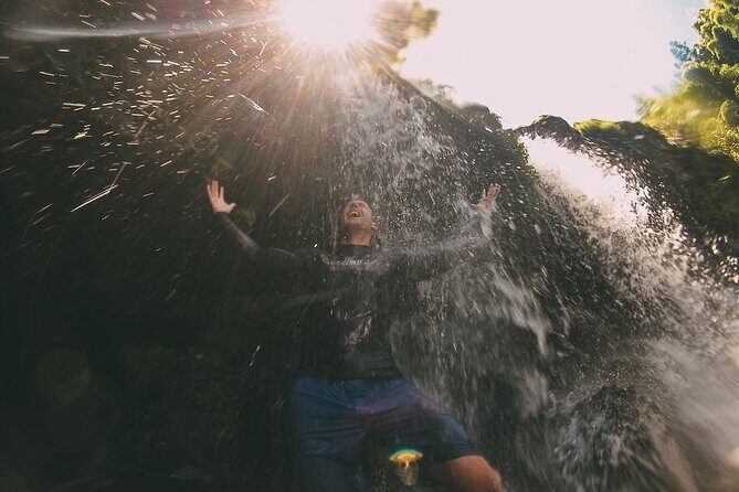 Epic Waterfall Adventure, the Best of Maui - Insights from Real Travelers