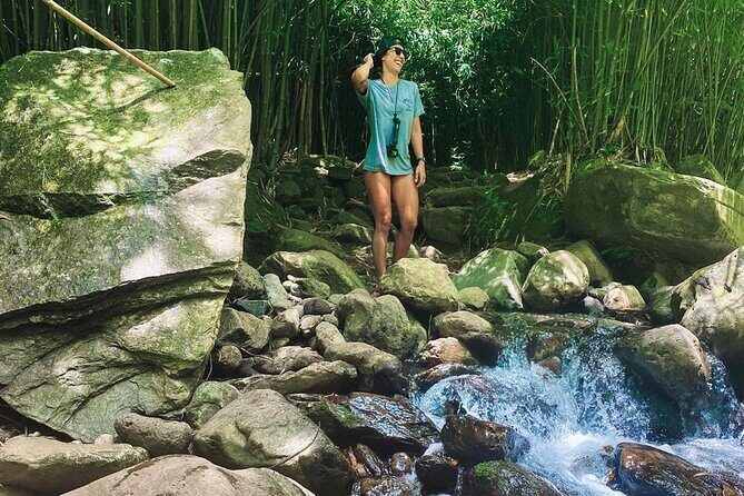 Epic Waterfall Adventure, the Best of Maui - Frequently Asked Questions