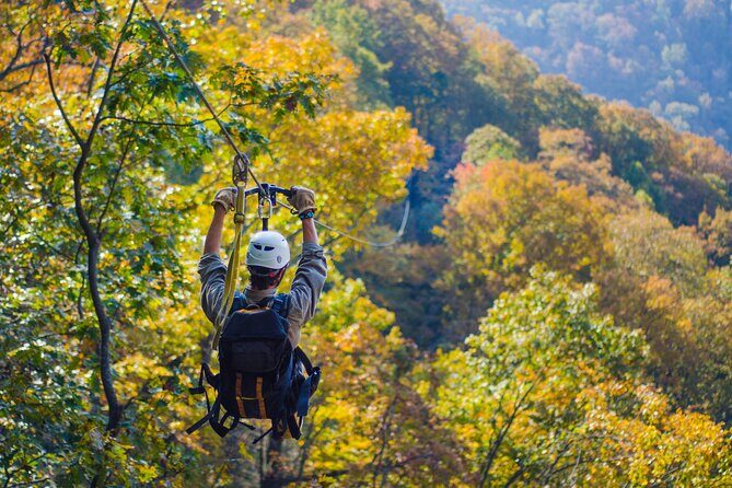 Epic Zipline Canopy Tour - The Gorge Zipline: Saluda, NC - Pricing and Value