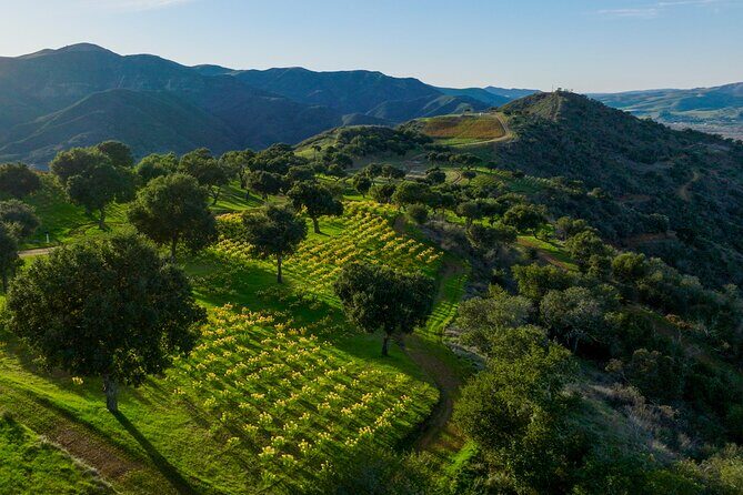 Epic Zipline Tour near Santa Barbara - The Practical Aspects