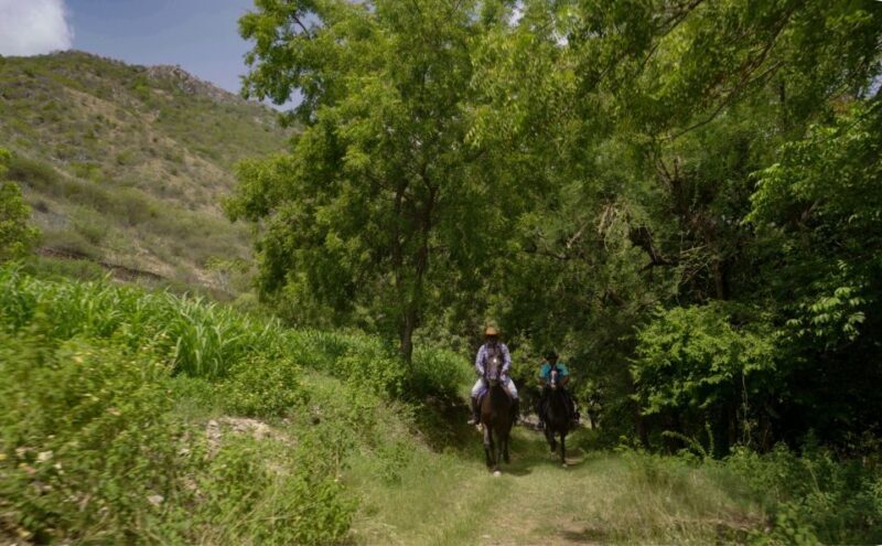 Equestrian Escape: Horse Safari Adventure - Introduction: An Authentic Rural Horse Experience