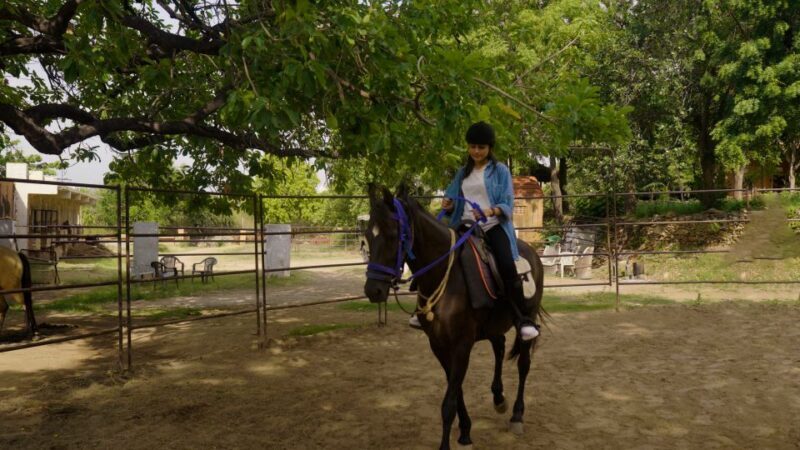 Equestrian Escape: Horse Safari Adventure - Who Should Consider This Tour?