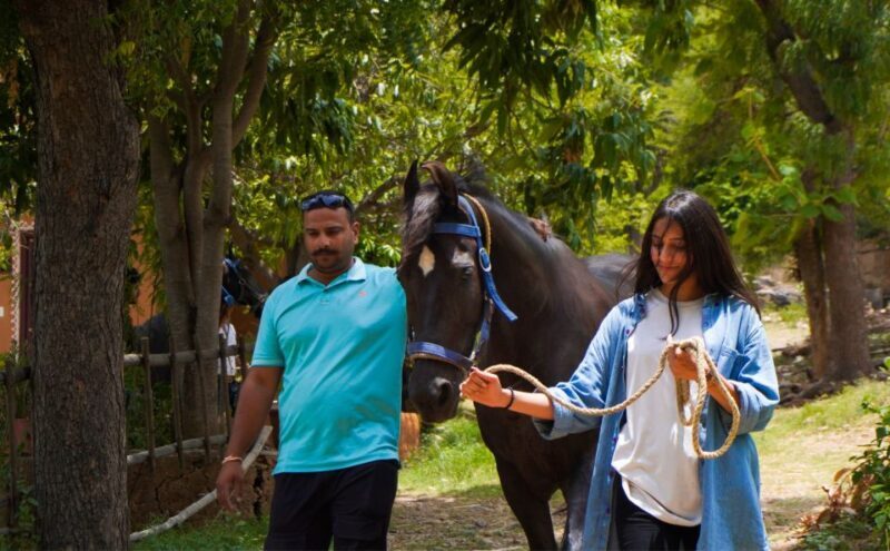 Equestrian Escape: Horse Safari Adventure - The Sum Up