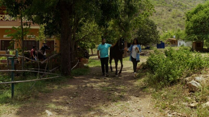 Equestrian Escape: Horse Safari Adventure - FAQ
