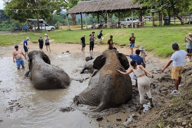 Erawan Waterfall and Elephant care from Bangkok -Private Tour - Who Will Enjoy This Experience?