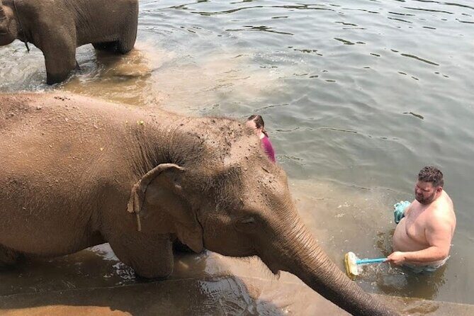 Erawan Waterfall and Elephant care from Bangkok -Private Tour - Final Thoughts