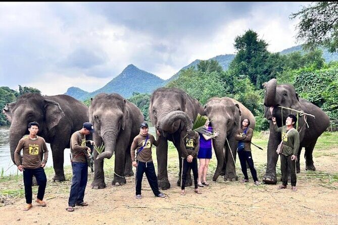 Erawan Waterfall and Elephant care from Bangkok -Private Tour - FAQ