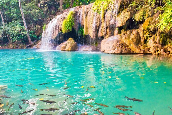 Erawan Waterfall and Elephant Care: Private Tour to Kanchanabur - Authentic Experiences and Real Value