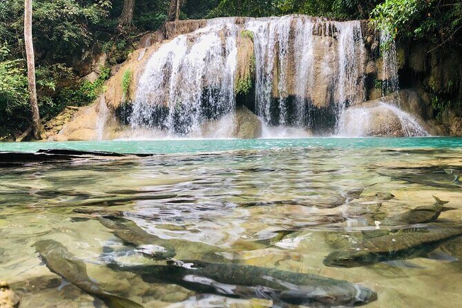 Erawan Waterfall and River Kwai Bridge Day Tour from Bangkok - An In-Depth Look at the Tour Itself