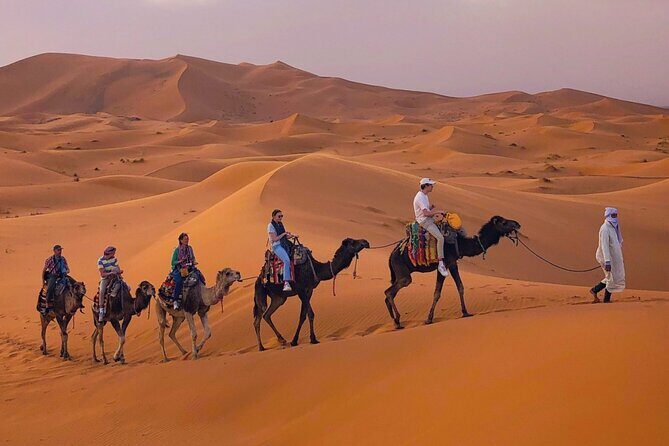 Erg Chebbi Desert Overnight in Tent with Camel Ride & Sandboard - A Practical Guide to the Erg Chebbi Desert Overnight Tour