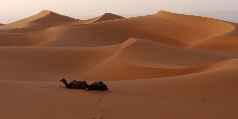 Erg Chegaga Desert Adventure: Magical 2 Days from M'hamid - The Second Day: Sunrise and Return