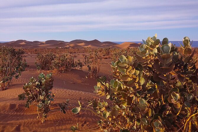 Erg Chigaga Overnight stay in the heart of the great dunes. - Who Should Consider This Tour?