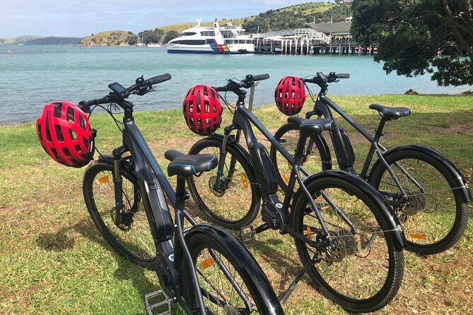 eRide Waiheke 5 bays ride - Final Thoughts