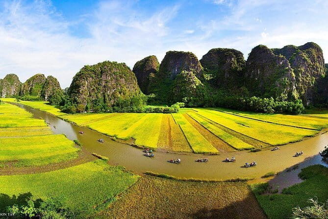 Erina Cruise 5-star cruise 2 day visit Lan Ha Bay private balcony - What the Reviews Say