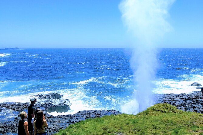 Erupting Blowholes and Ancient Rainforests SOUTH COAST OF SYDNEY PRIVATE TOUR - An In-Depth Look at the South Coast Tour