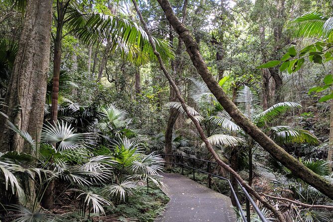 Erupting Blowholes and Ancient Rainforests SOUTH COAST OF SYDNEY PRIVATE TOUR - FAQ