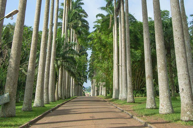 Escape Accra City to Aburi Gardens and Tetteh Quarshie Cocoa Farms - An In-Depth Look at the Tour Experience