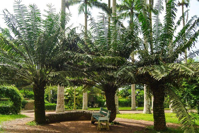 Escape Accra City to Aburi Gardens and Tetteh Quarshie Cocoa Farms - What Reviewers Are Saying