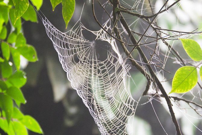 Escape Accra City to Aburi Gardens and Tetteh Quarshie Cocoa Farms - The Practical Details