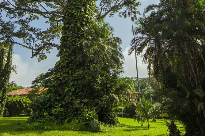 Escape Accra City to Aburi Gardens and Tetteh Quarshie Cocoa Farms - Why This Tour Works