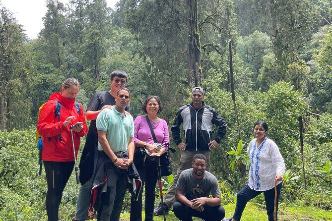 Escape from Addis to hike through beautiful Menagesha forest! - FAQ