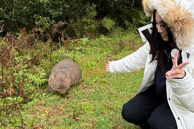 Escape Sydney: Sea Cliff Bridge, Wildlife, Kiama Coast Private - FAQs