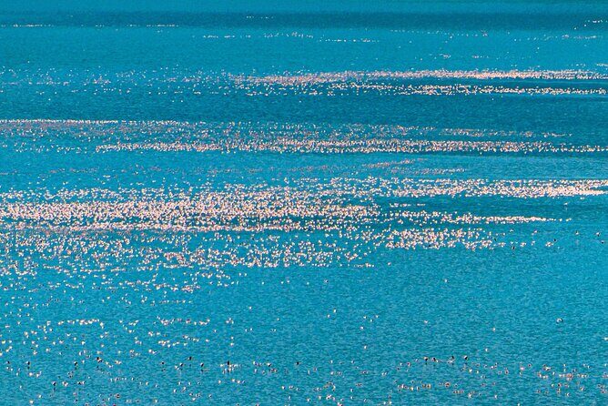 Escape to Lake Bogoria, Flamingo's new home for an overnight safari - What’s Included & What’s Not