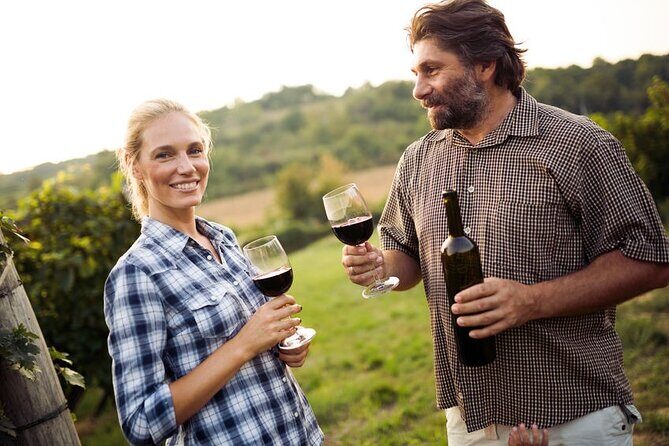Escape to Wine Country - What Does the Tour Include?