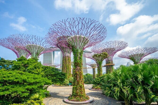 eSIM 4G/5G Data for Asia 8 Areas Singapore Thailand MY VN HK TW - Final Thoughts