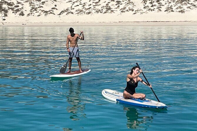 Espiritu Santo and Sealion Swimming aboard a luxury yacht - An In-Depth Look at the Tour Experience