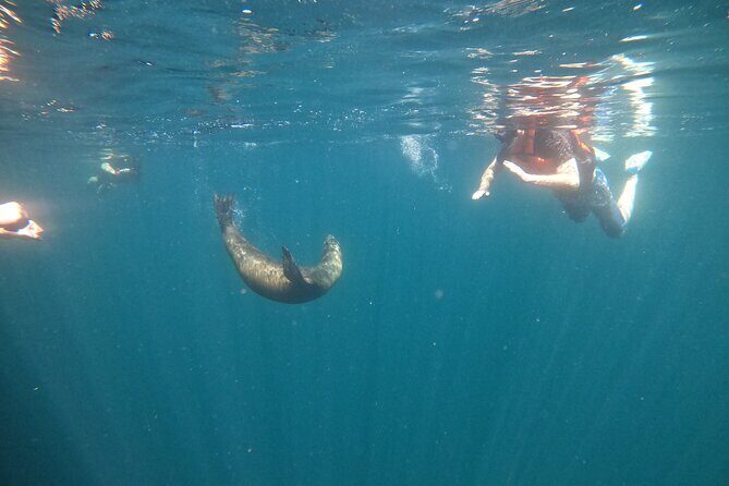 Espiritu Santo Island and sea lions - Authentic Experiences and Final Thoughts
