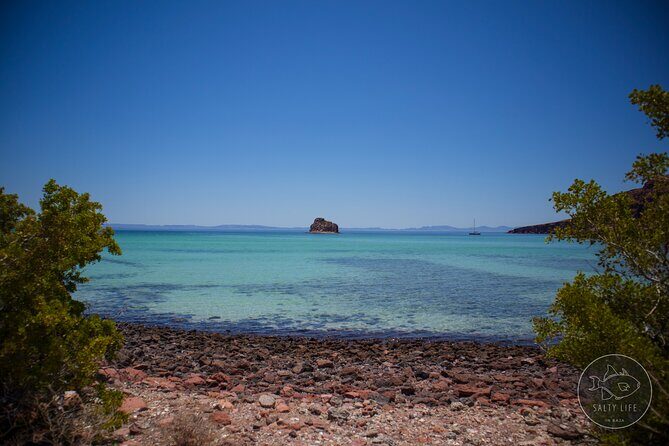 Espiritu Santo Island and sea lions - Final Summary