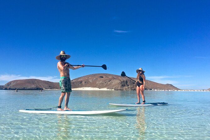 Espiritu Santo Island Combo: Sea Lions and Paddleboard 1 to 6 Private Group - An In-Depth Look at the Espiritu Santo Island Experience